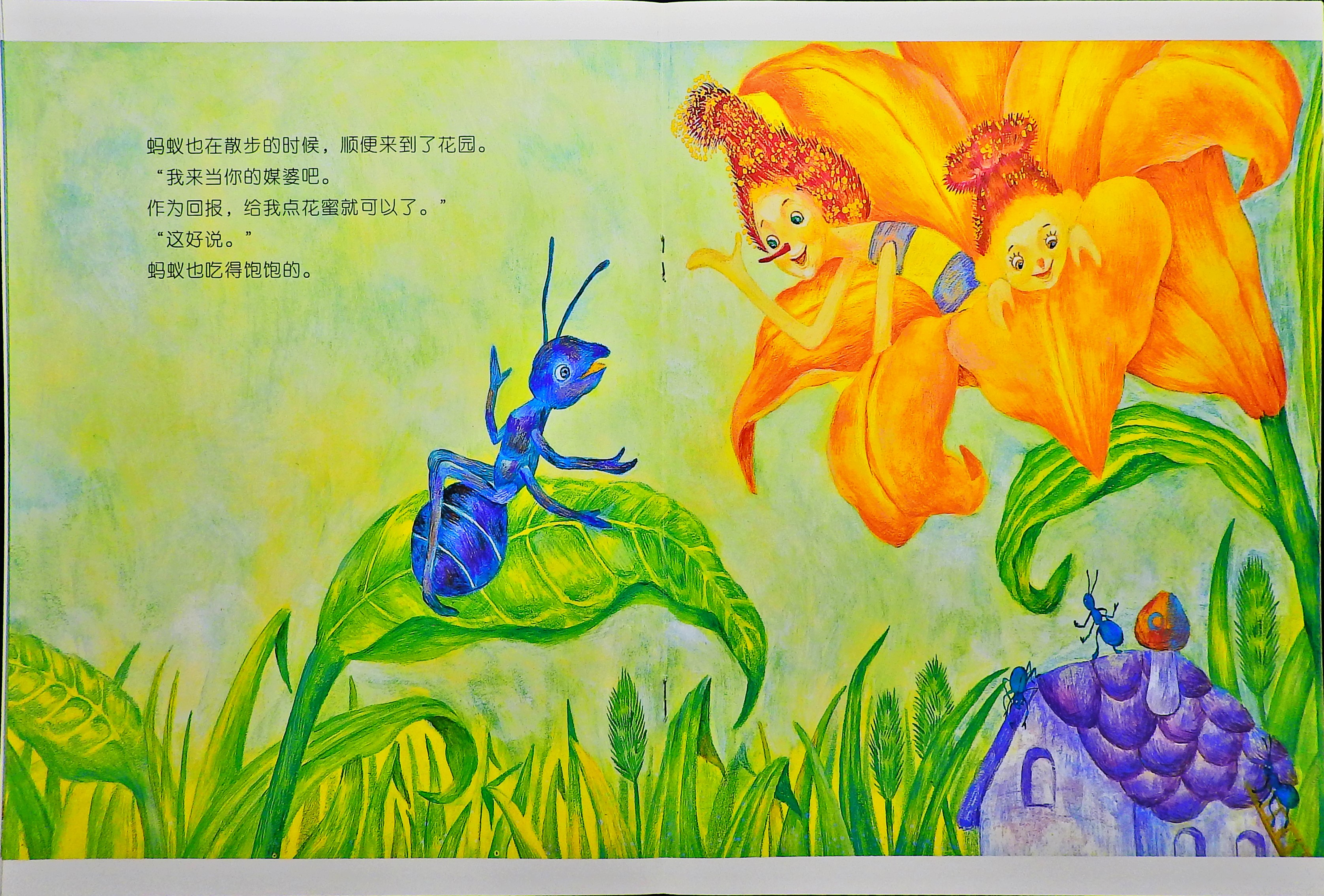 植物王国的结婚仪式 (07),绘本,绘本故事,绘本阅读,故事书,童书,图画书,课外阅读